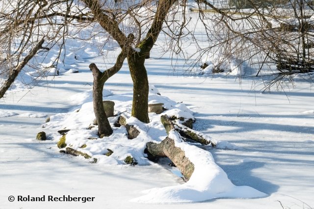Tierpark Sbg.