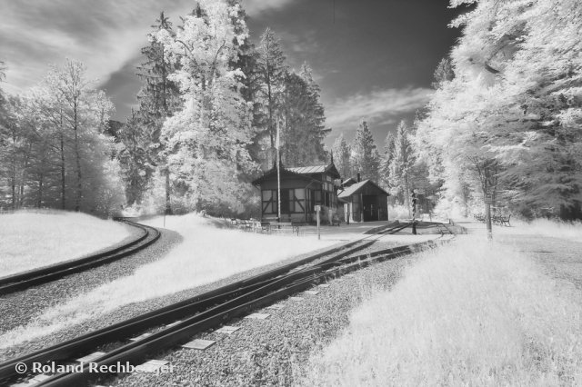 IR Foto  Freilicht Museum Sbg.