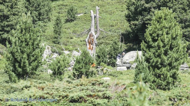 Weg der Elemente Nockberge