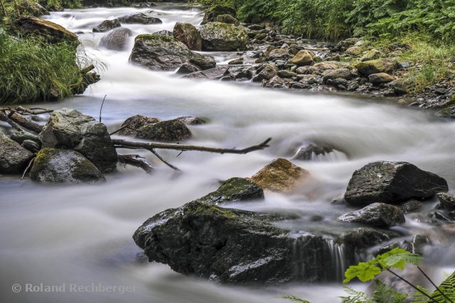 in der Nähe vom St. Lorenz Hochmoor