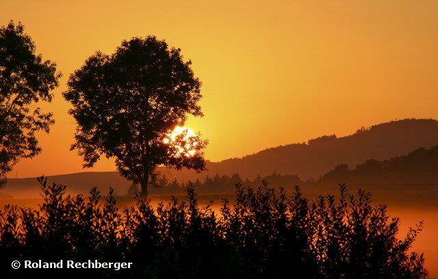 Sonnenaufgang nahe Wallersee OÖ