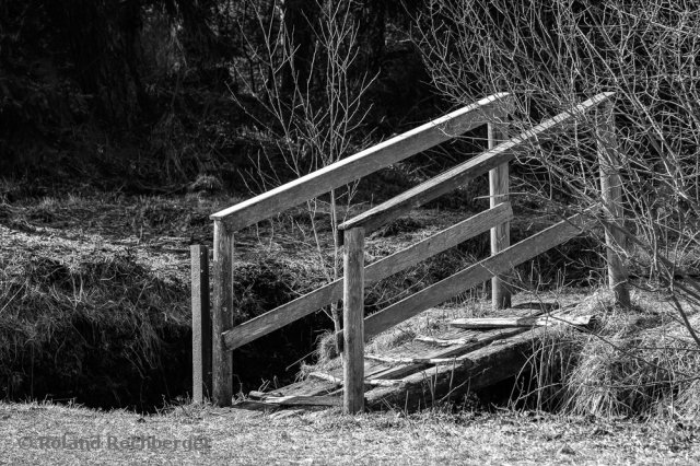 Ainringer Moor nahe Freilassing
