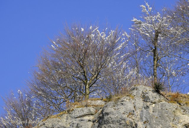 Der letzte Schnee