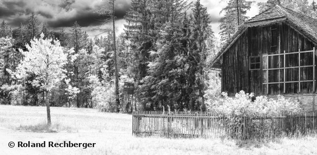 IR Foto  Freilicht Museum Sbg.