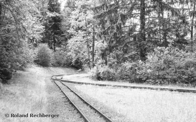 IR Foto Freilicht Museum Sbg.