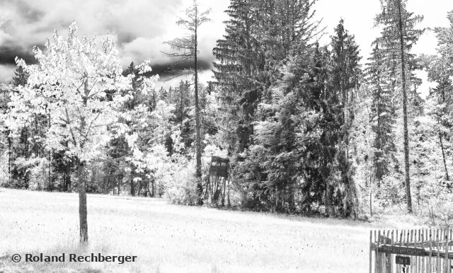 IR Foto Freilicht Museum Sbg.