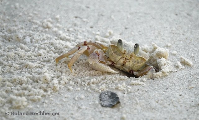 Auf einer Africa Reise am Strand