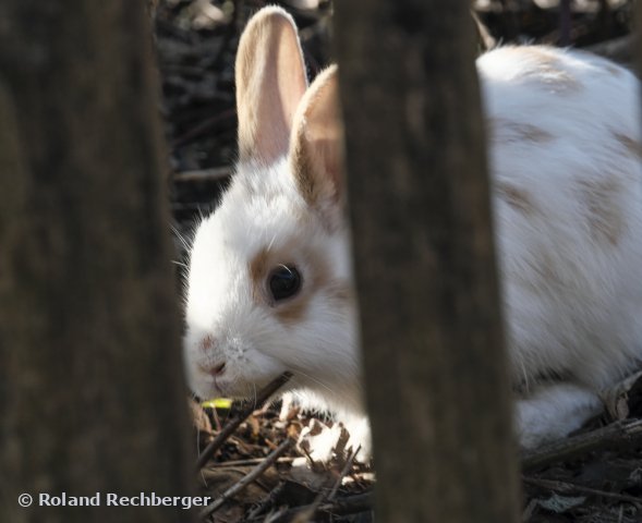 I can see you !!