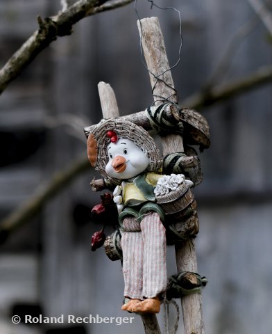 foto-salzburg.com Foto des Monats: Ohne Worte