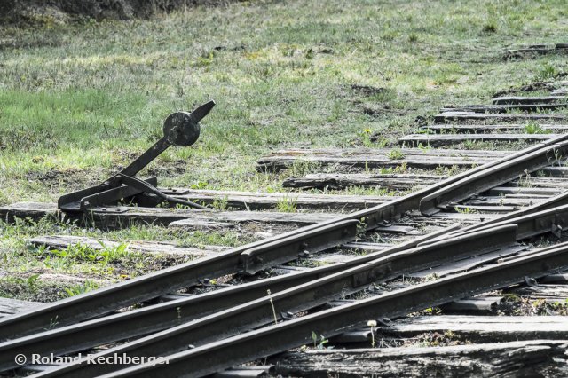 Im Ainringer Moor / Freilassing
