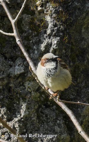 Im Tiergarten Salzburg