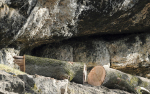 Im Tierpark Saltburg