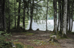 Am Toplittzsee